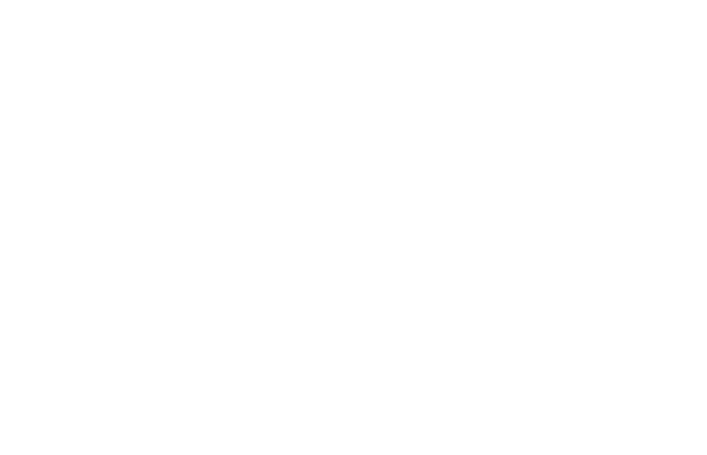 the-straits-time02